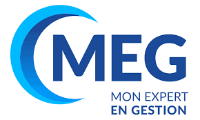 logo _ Mon Expert en Gestion